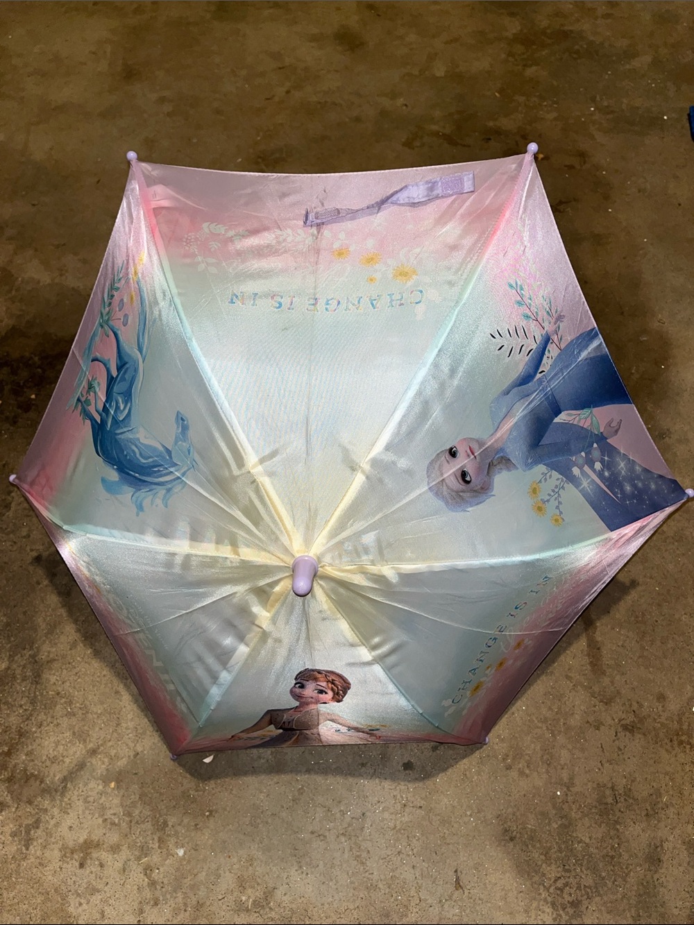 Disney Frozen Pink and Light Blue Kids Umbrella with Elsa and Anna